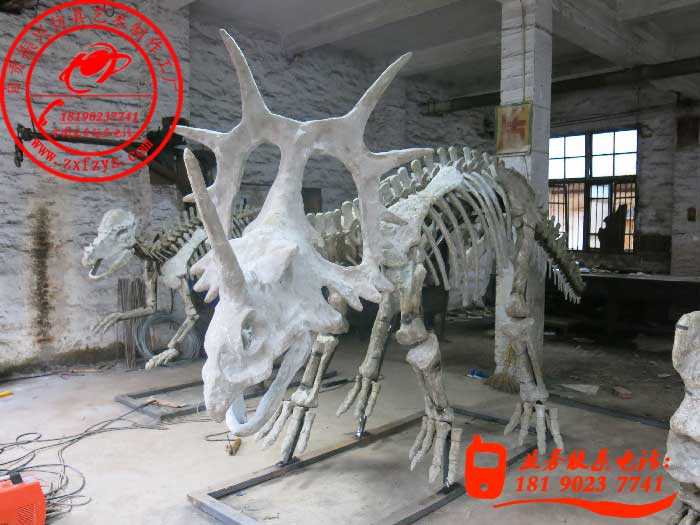 棘龙骨架化石