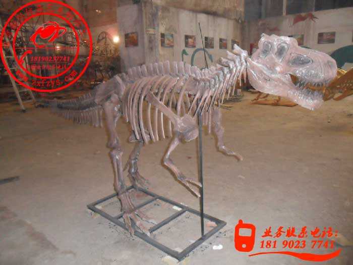 三米霸王龙化石骨架01001.jpg