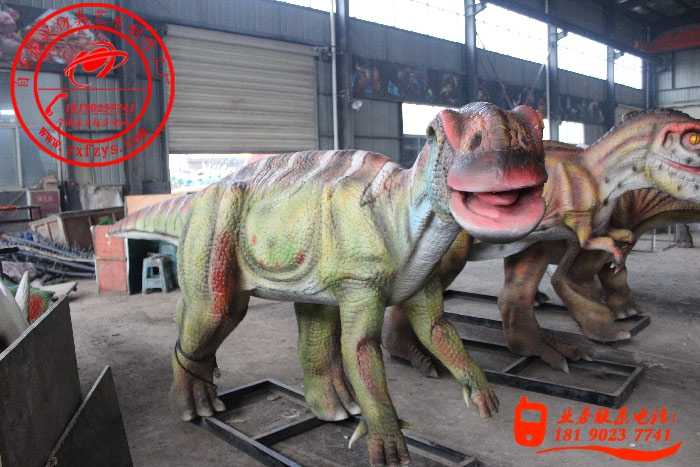 6ѼʵͼƬչʾ2656203.jpg