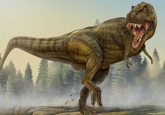 而肉食性恐龙,如永川龙,霸王龙则具有敏锐的视力.