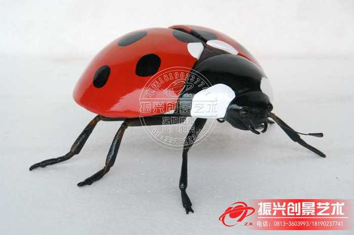 a0322-2897-aa-lady-bug-giant-statue-insect-garden-display-prop.jpg