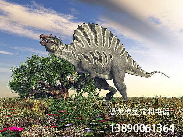 istockphoto-186149616-612x612.jpg