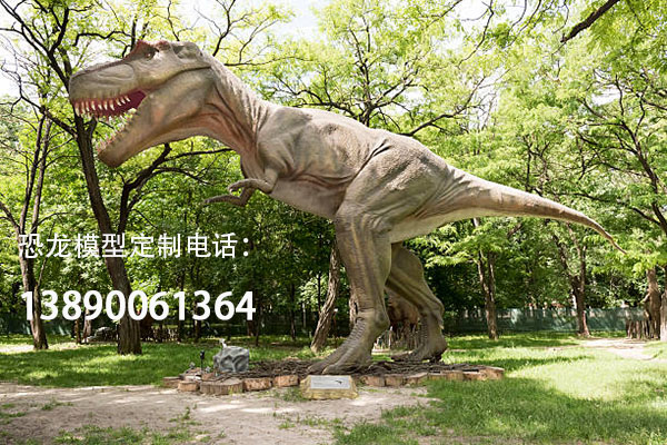 istockphoto-477377954-612x612.jpg