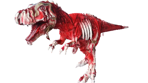 定制恐龙模型