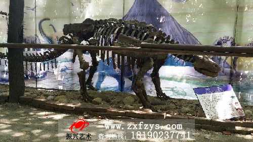 5米甲龙化石骨架