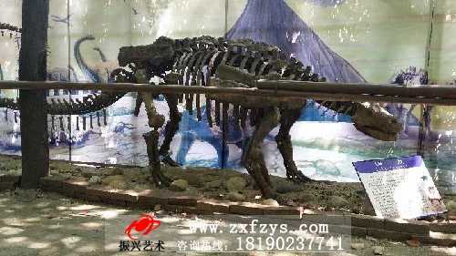 5米甲龙化石骨架