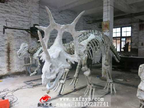 化石骨架――棘龙