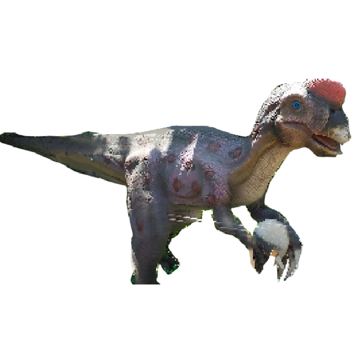 仿真恐龙――3米偷蛋龙
