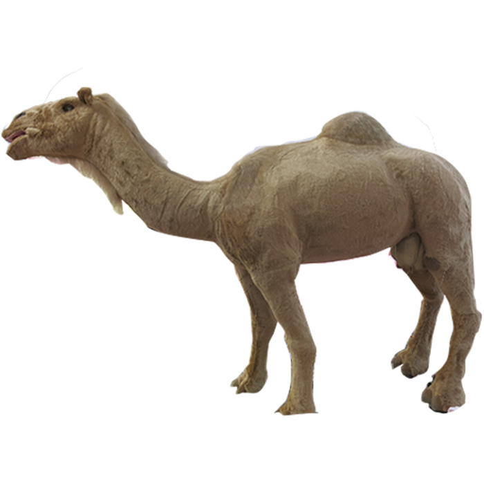 仿真动物――骆驼