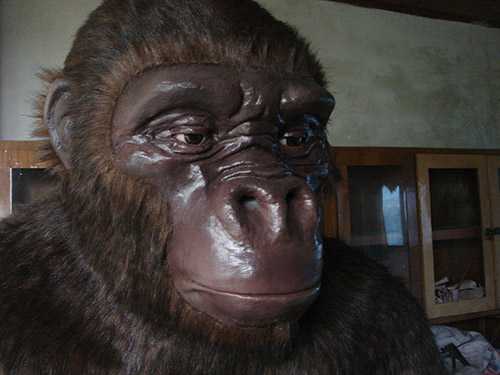仿真动物――黑猩猩