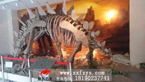 化石骨架――5米沱江龙