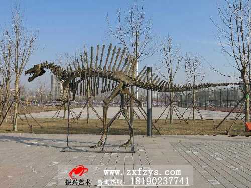 恐龙化石骨架――脊背龙
