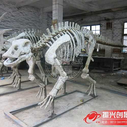 恐龙骨架――5米鸭嘴龙
