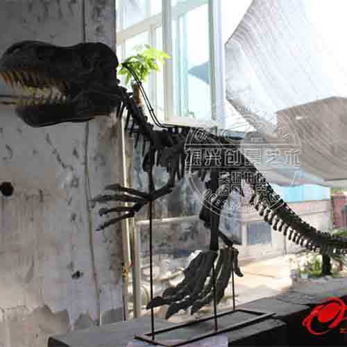 恐龙骨架――2米霸王龙