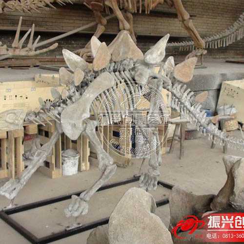 仿真恐龙骨架――剑龙骨架模型