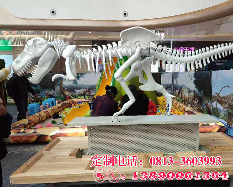 恐龙骨架模型定制|霸王龙化石骨架定制|博物馆用化石骨架定制