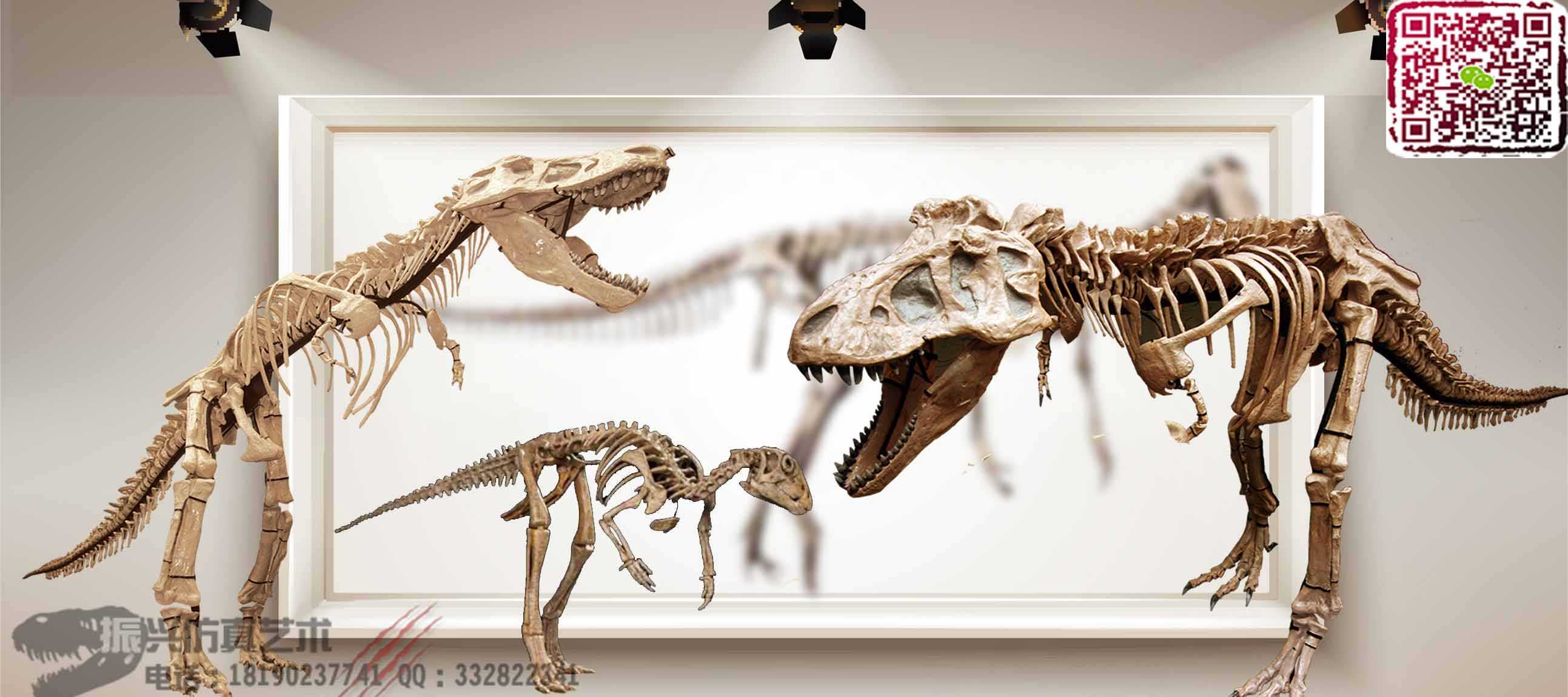  地址博物馆恐龙化石模型定制厂家